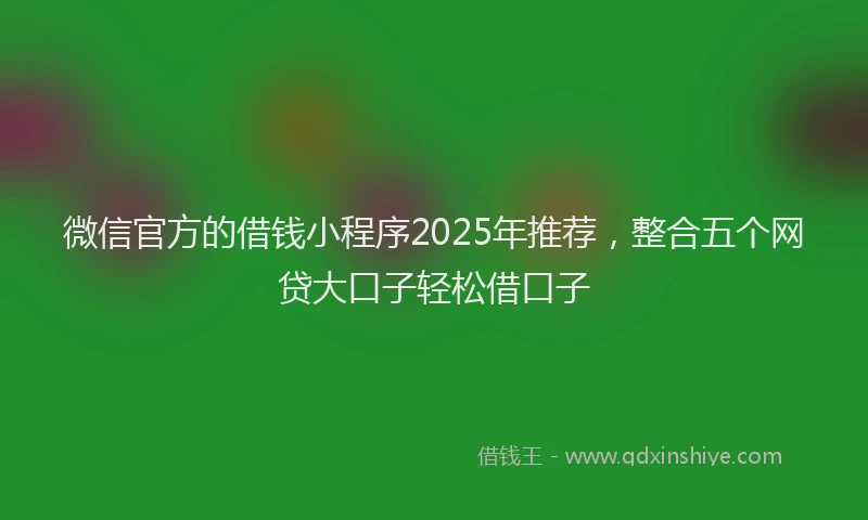 微信官方的借钱小程序2025年推荐，整合五个网贷大口子轻松借口子