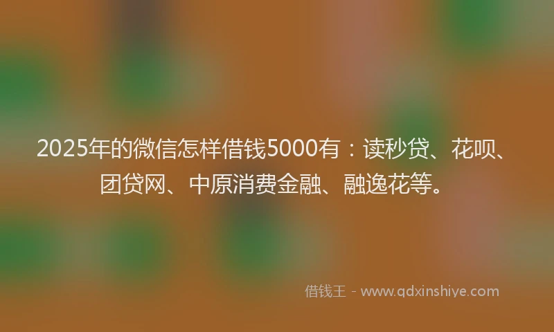 2025年的微信怎样借钱5000有：读秒贷、花呗、团贷网、中原消费金融、融逸花等。