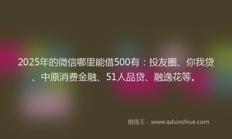 2025年的微信哪里能借500有：投友圈、你我贷、中原消费金融、51人品贷、融逸花等。