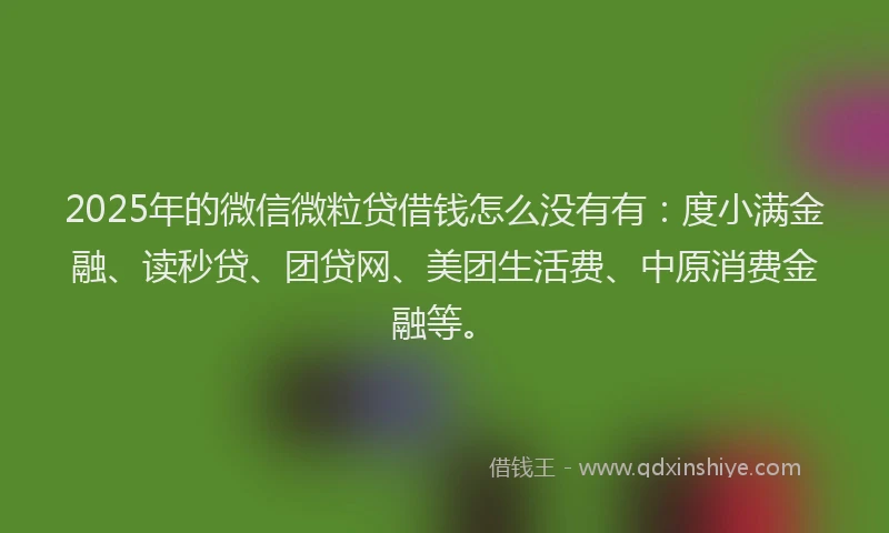 2025年的微信微粒贷借钱怎么没有有：度小满金融、读秒贷、团贷网、美团生活费、中原消费金融等。