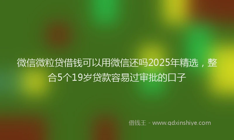 微信微粒贷借钱可以用微信还吗2025年精选，整合5个19岁贷款容易过审批的口子