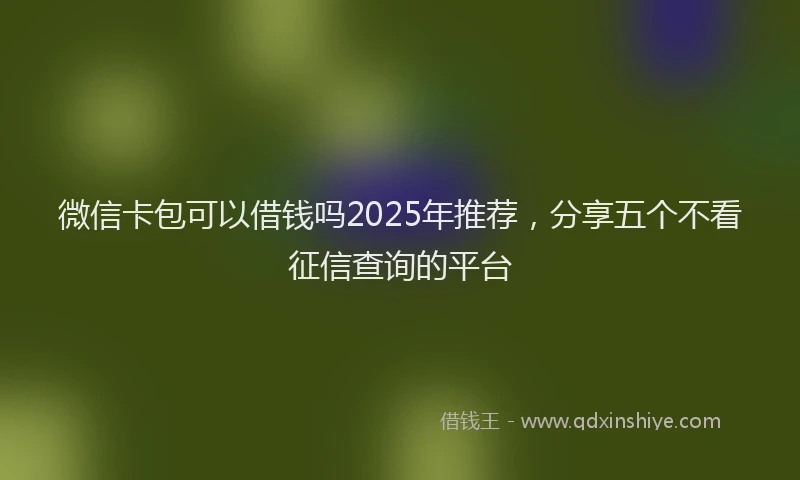 微信卡包可以借钱吗2025年推荐，分享五个不看征信查询的平台