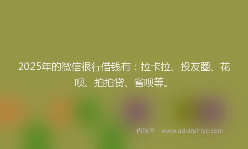 2025年的微信很行借钱有：拉卡拉、投友圈、花呗、拍拍贷、省呗等。