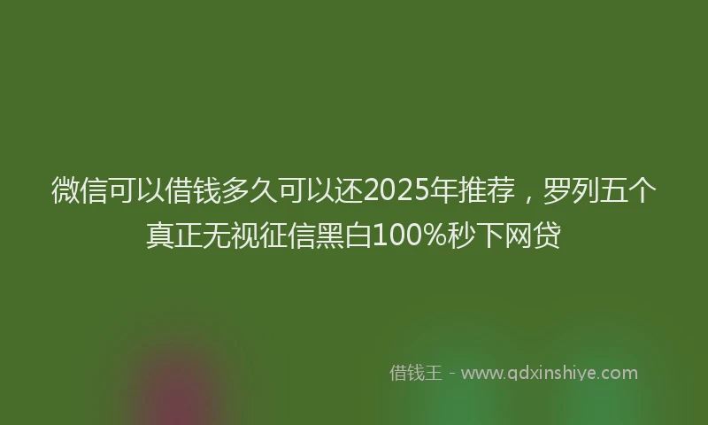 微信可以借钱多久可以还2025年推荐，罗列五个真正无视征信黑白100%秒下网贷