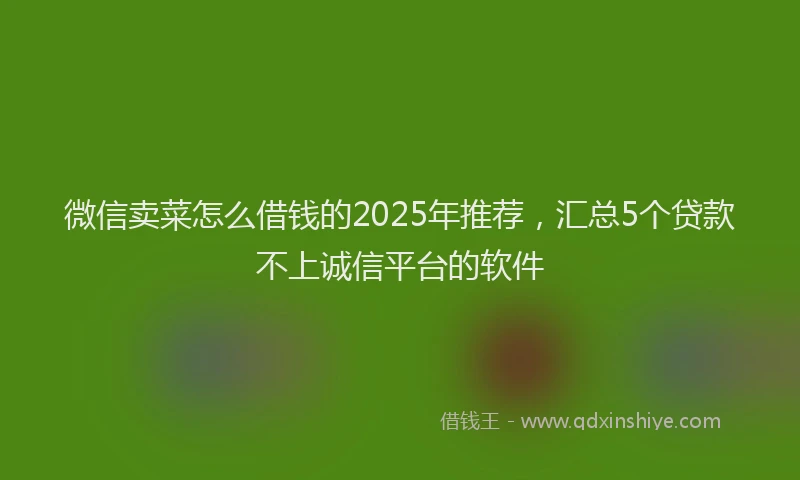 微信卖菜怎么借钱的2025年推荐，汇总5个贷款不上诚信平台的软件