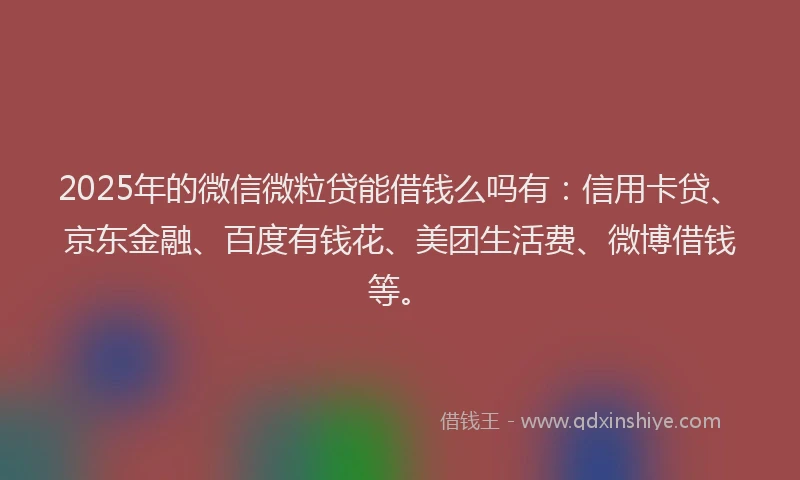2025年的微信微粒贷能借钱么吗有：信用卡贷、京东金融、百度有钱花、美团生活费、微博借钱等。