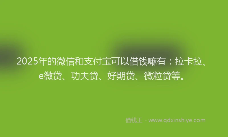 2025年的微信和支付宝可以借钱嘛有：拉卡拉、e微贷、功夫贷、好期贷、微粒贷等。