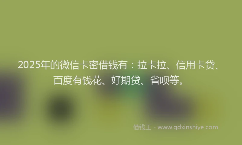 2025年的微信卡密借钱有：拉卡拉、信用卡贷、百度有钱花、好期贷、省呗等。