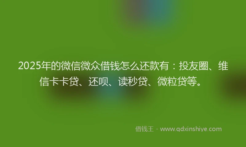 2025年的微信微众借钱怎么还款有：投友圈、维信卡卡贷、还呗、读秒贷、微粒贷等。