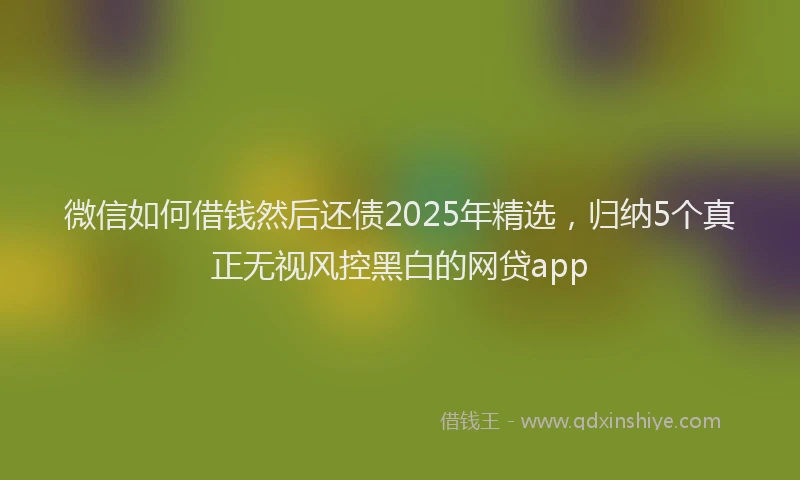 微信如何借钱然后还债2025年精选，归纳5个真正无视风控黑白的网贷app