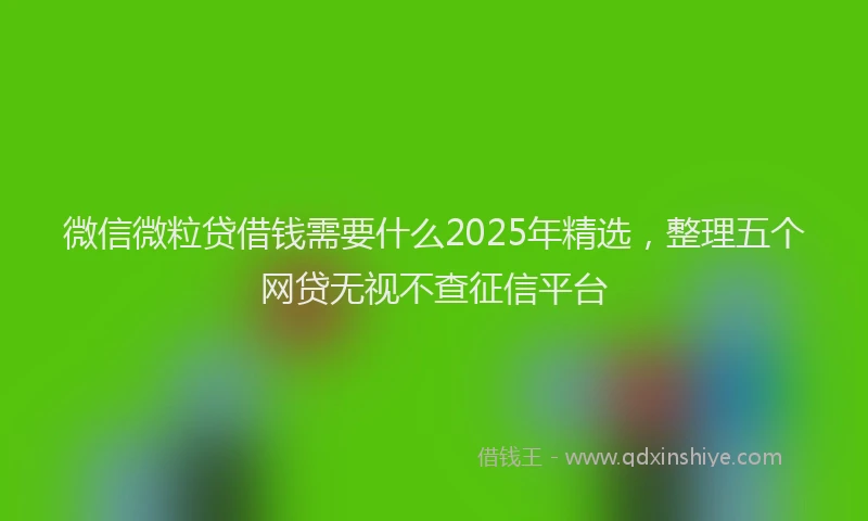 微信微粒贷借钱需要什么2025年精选，整理五个网贷无视不查征信平台