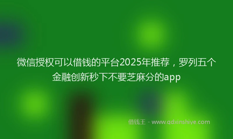 微信授权可以借钱的平台2025年推荐，罗列五个金融创新秒下不要芝麻分的app