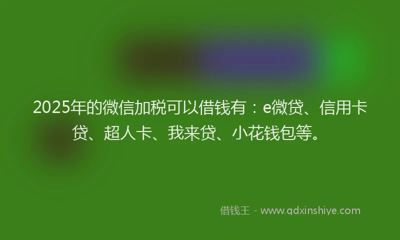2025年的微信加税可以借钱有：e微贷、信用卡贷、超人卡、我来贷、小花钱包等。