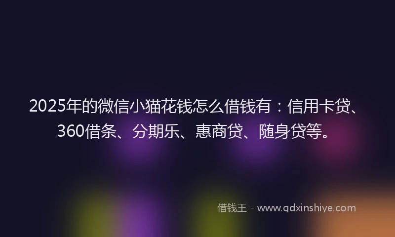 2025年的微信小猫花钱怎么借钱有：信用卡贷、360借条、分期乐、惠商贷、随身贷等。