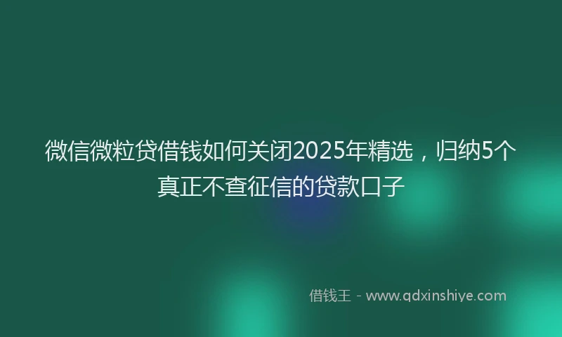 微信微粒贷借钱如何关闭2025年精选，归纳5个真正不查征信的贷款口子