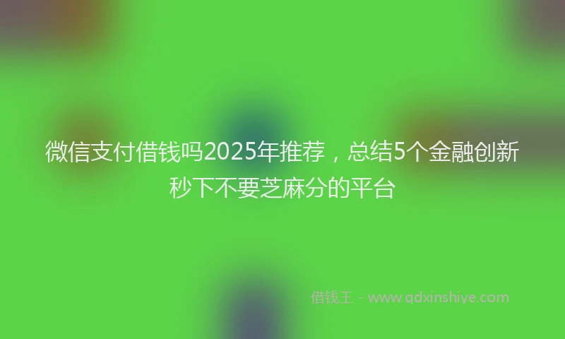 微信支付借钱吗2025年推荐，总结5个金融创新秒下不要芝麻分的平台