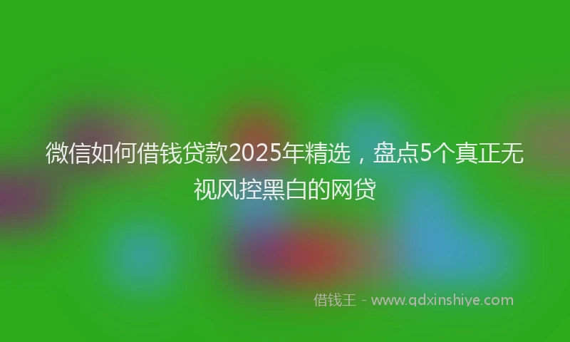 微信如何借钱贷款2025年精选，盘点5个真正无视风控黑白的网贷