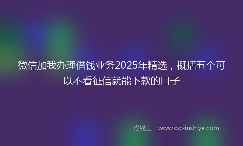 微信加我办理借钱业务2025年精选，概括五个可以不看征信就能下款的口子