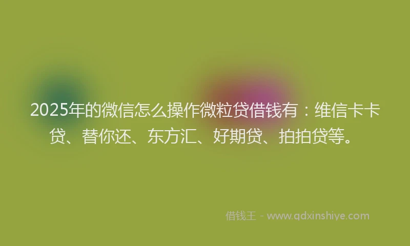 2025年的微信怎么操作微粒贷借钱有：维信卡卡贷、替你还、东方汇、好期贷、拍拍贷等。