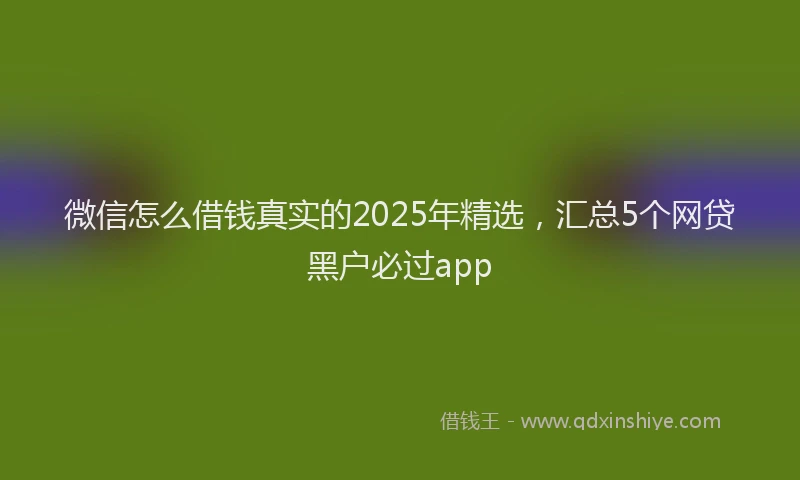 微信怎么借钱真实的2025年精选，汇总5个网贷黑户必过app