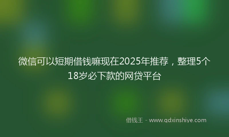 微信可以短期借钱嘛现在2025年推荐，整理5个18岁必下款的网贷平台