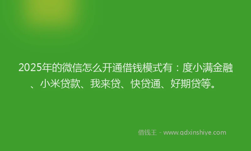 2025年的微信怎么开通借钱模式有：度小满金融、小米贷款、我来贷、快贷通、好期贷等。