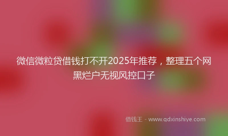 微信微粒贷借钱打不开2025年推荐，整理五个网黑烂户无视风控口子