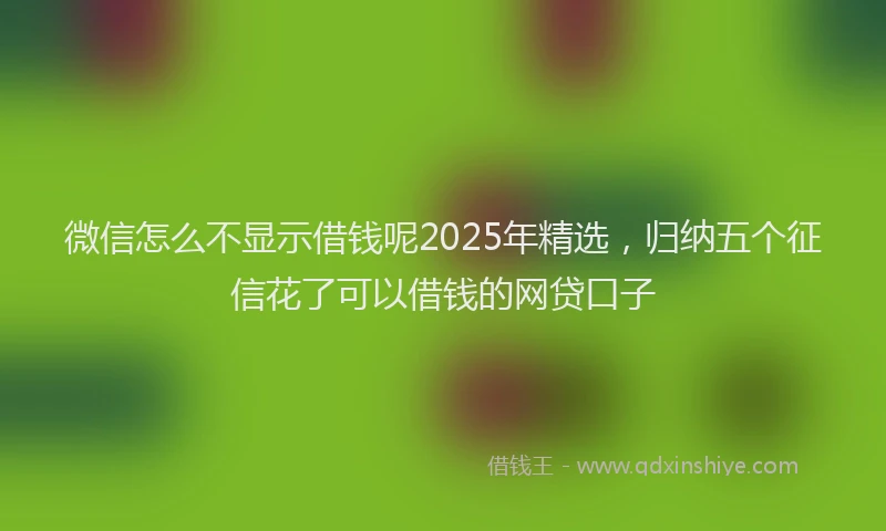 微信怎么不显示借钱呢2025年精选，归纳五个征信花了可以借钱的网贷口子