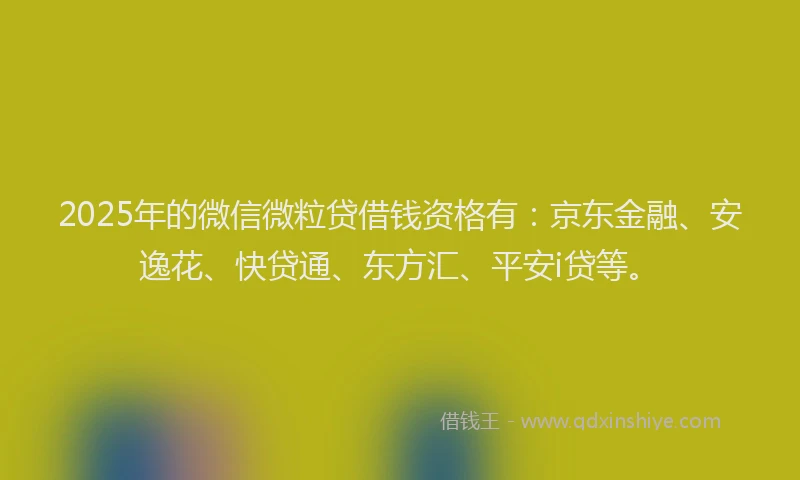 2025年的微信微粒贷借钱资格有：京东金融、安逸花、快贷通、东方汇、平安i贷等。