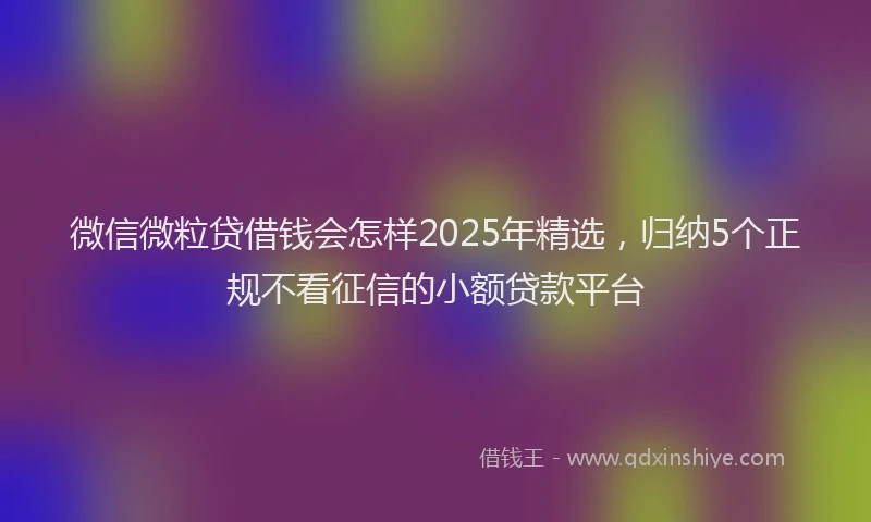 微信微粒贷借钱会怎样2025年精选，归纳5个正规不看征信的小额贷款平台