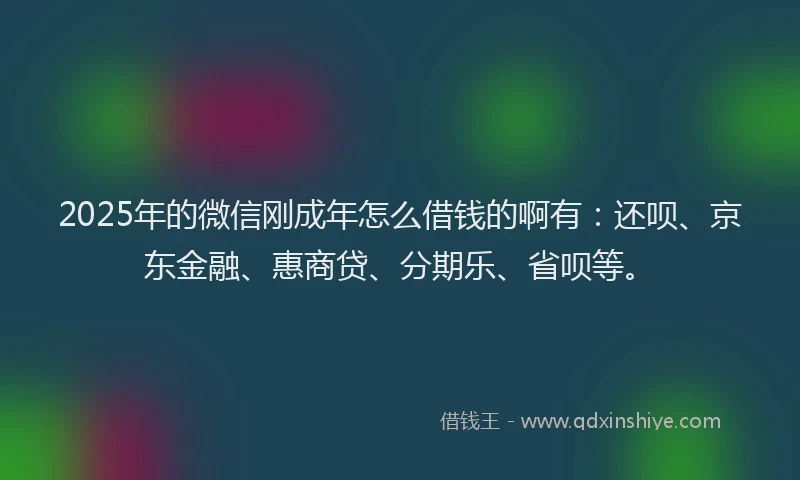 2025年的微信刚成年怎么借钱的啊有：还呗、京东金融、惠商贷、分期乐、省呗等。