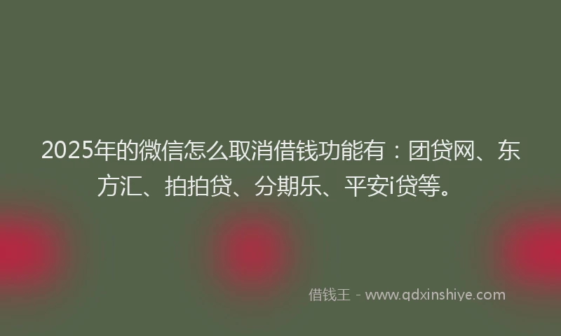 2025年的微信怎么取消借钱功能有：团贷网、东方汇、拍拍贷、分期乐、平安i贷等。