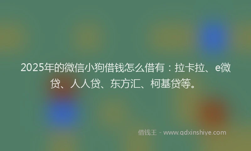 2025年的微信小狗借钱怎么借有：拉卡拉、e微贷、人人贷、东方汇、柯基贷等。