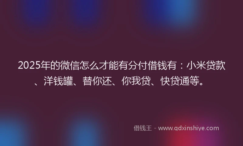 2025年的微信怎么才能有分付借钱有：小米贷款、洋钱罐、替你还、你我贷、快贷通等。