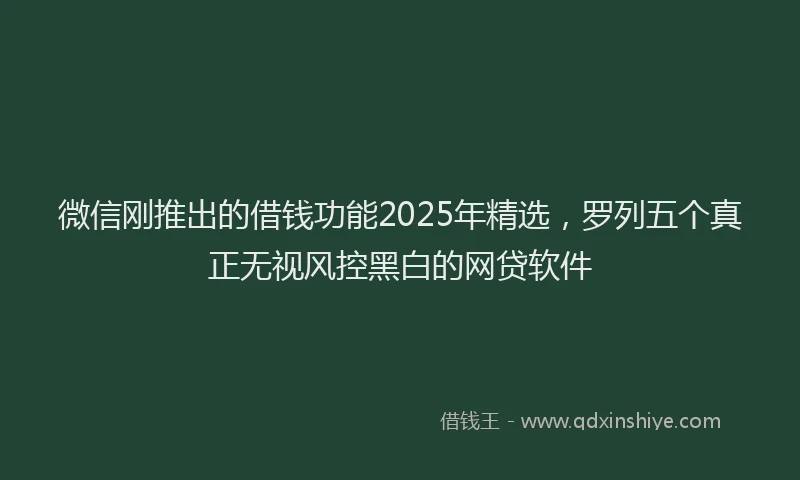 微信刚推出的借钱功能2025年精选，罗列五个真正无视风控黑白的网贷软件