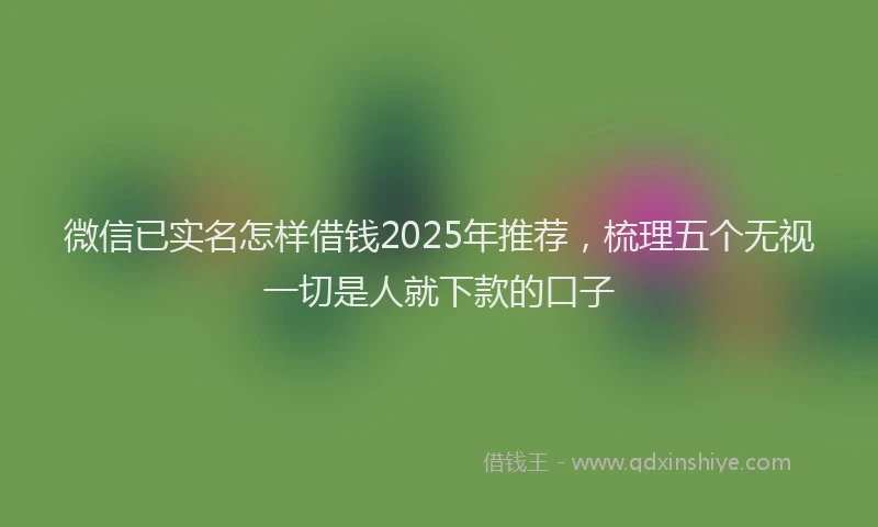 微信已实名怎样借钱2025年推荐，梳理五个无视一切是人就下款的口子