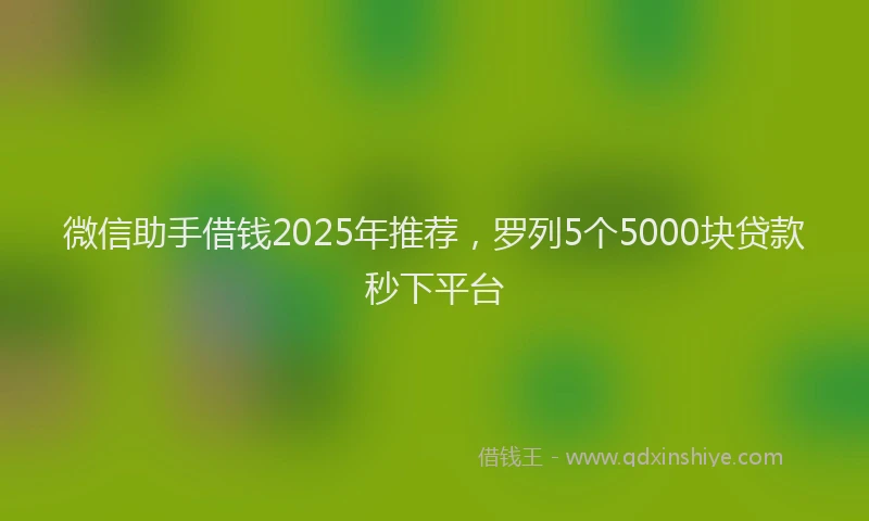 微信助手借钱2025年推荐，罗列5个5000块贷款秒下平台