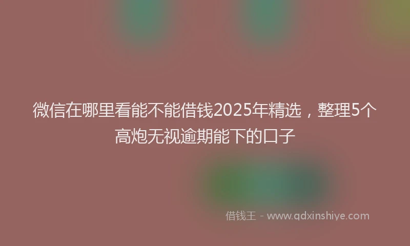 微信在哪里看能不能借钱2025年精选，整理5个高炮无视逾期能下的口子
