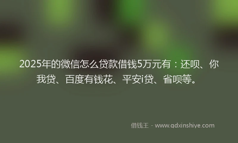 2025年的微信怎么贷款借钱5万元有：还呗、你我贷、百度有钱花、平安i贷、省呗等。