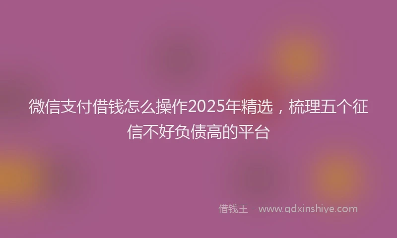 微信支付借钱怎么操作2025年精选，梳理五个征信不好负债高的平台