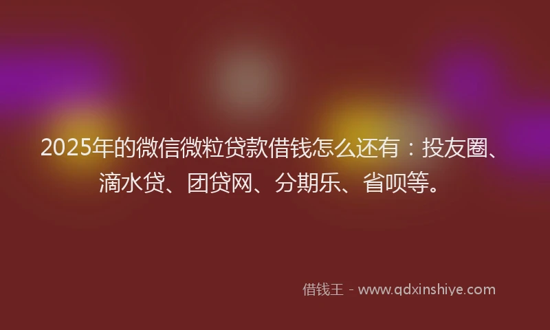 2025年的微信微粒贷款借钱怎么还有：投友圈、滴水贷、团贷网、分期乐、省呗等。