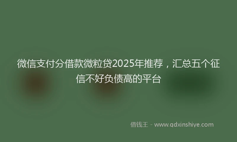 微信支付分借款微粒贷2025年推荐，汇总五个征信不好负债高的平台