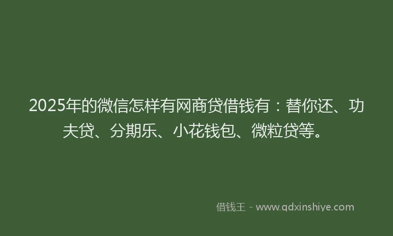 2025年的微信怎样有网商贷借钱有：替你还、功夫贷、分期乐、小花钱包、微粒贷等。