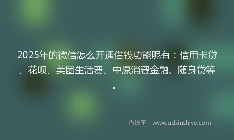 2025年的微信怎么开通借钱功能呢有：信用卡贷、花呗、美团生活费、中原消费金融、随身贷等。