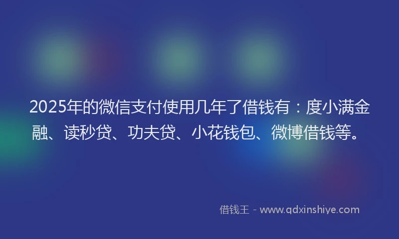 2025年的微信支付使用几年了借钱有：度小满金融、读秒贷、功夫贷、小花钱包、微博借钱等。