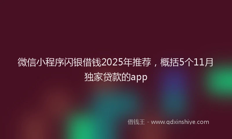 微信小程序闪银借钱2025年推荐，概括5个11月独家贷款的app