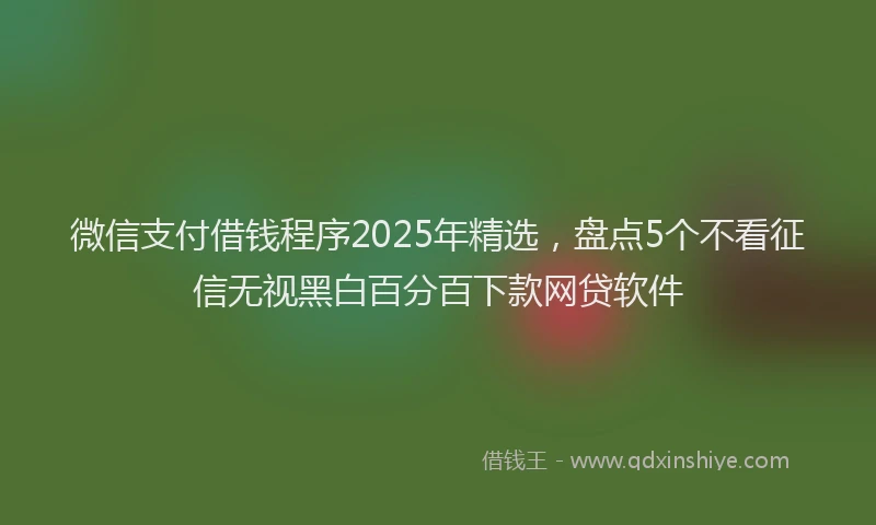 微信支付借钱程序2025年精选，盘点5个不看征信无视黑白百分百下款网贷软件