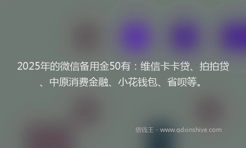 2025年的微信备用金50有：维信卡卡贷、拍拍贷、中原消费金融、小花钱包、省呗等。