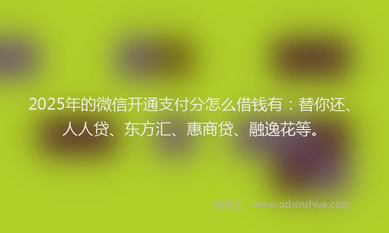 2025年的微信开通支付分怎么借钱有：替你还、人人贷、东方汇、惠商贷、融逸花等。