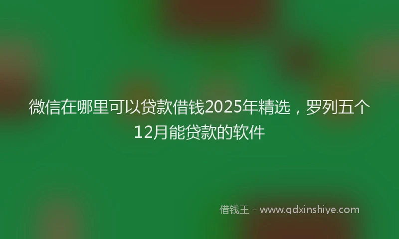微信在哪里可以贷款借钱2025年精选，罗列五个12月能贷款的软件